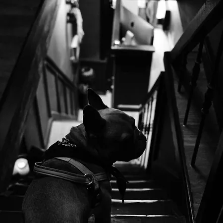 ホテル Boutique & Restaurant Frenchie ハーレム