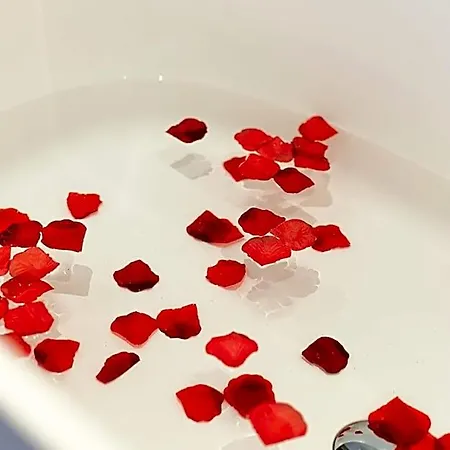 Boutique & Restaurant Frenchie Hotel 4*